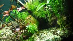 die neue Seitenansicht von rechts