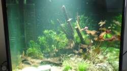 21.Oktober 2011 - Kahlschlag & Neugestaltung