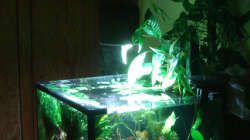 Historie: 25 Monate nach Ersteinrichtung