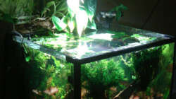 Historie: 25 Monate nach Ersteinrichtung