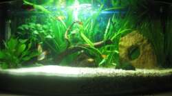 Nochmal eine Frontansicht