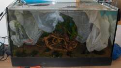 Jetzt kommt der große Moment!