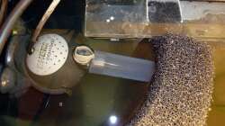 Eheim Aquaball als Pumpe für den HMF