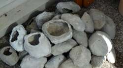 alle Selbstbausteine vor dem Aufstapeln im Becken