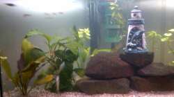 Aquarium Eckaquarium