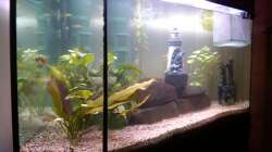 Aquarium Eckaquarium