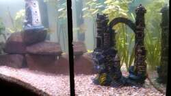 Aquarium Eckaquarium