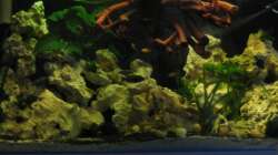 dunkleres Licht 28.10.10