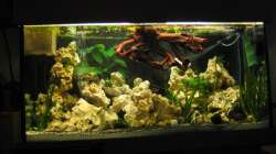 Neues Bild mit abgeändertem Licht 28.10.10