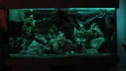 Nachtlicht wurde auch verbessert, ist aber immer noch der 6 meter Lichtschlauch 28.10.10