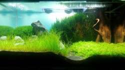 So sah das Becken vor dem Auflösen aus...