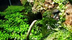 03 2011 - Wasseroberfläche