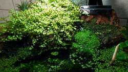 Blick von oben - 01.08.2011