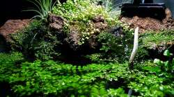 03 2011 - Dekoration