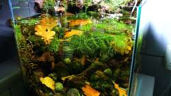 13.11.2010 - Zwei Welten