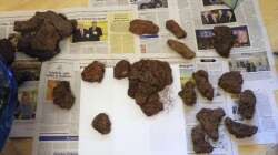 05.11.2010 - So fing alles an