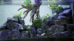 Aquarium D-$To®M ( My First ) Nur noch als Beispiel