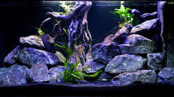 Blick von der Küche