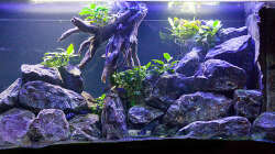 Aquarium D-$To®M ( My First ) Nur noch als Beispiel