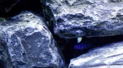 Kurz nach dem Einzug