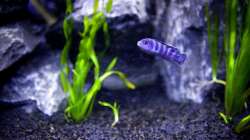 2 Tage nach Einzug! Einer der Bewohner...noch ganz schüchtern! 