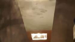 Geschlossener Selbstbau-HCI-Leuchtbalken mit temperaturgesteuerter Lüftung