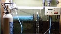 Filterbecken mit CO2-Anlage