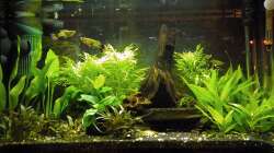 Becken jetzt 24.2.2011