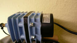 Technik im Aquarium Kakadus