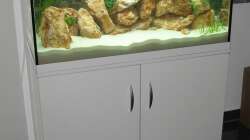 Pflanzen Wasser und Filter dazu und zusätzlich noch 2 Steine oben drauf....