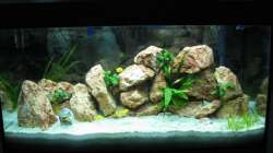 Nach der Einlaufphase und frisch eingesetzten Einwohnern