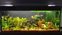 Anfang Dezember 2010