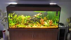 Gesamtansicht Dezember 2011