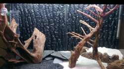 Stand 30.12.2010 noch ohne Wasser