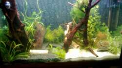 Stand 07.01.2011 Ansicht von vorne