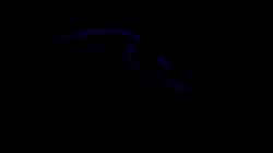 Nimbochromis venustus unter Mondlicht