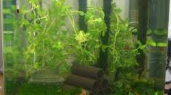 1. Tag nach Einrichtung