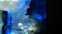 Ansicht Seite rechts