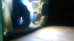 Weg hinter die Rückwand