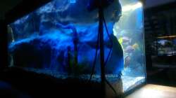 Seite links von hinten