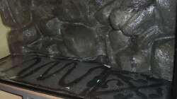 Die alte Rückwand für das Malawibecken im fertigen Zustand...