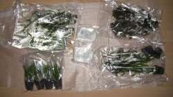 So hier ist die frische Ware