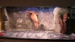 Neue Rückwand mit 1. Schicht Fliesenkleber und integrierten Mangrovenholzwurzeln