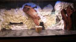 Es wird wieder.... Lücken mit neuem Bauschaum geschlossen...