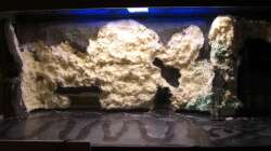 Die alte Rückwand fast komplett zerstört, oder besser gesagt begradigt...