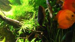 Die Bande kurz vor der Fütterung