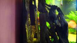 Filtereinlauf und Heizstab