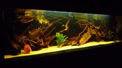 Dekoration im Aquarium Rio Pampo (aufgelöst)