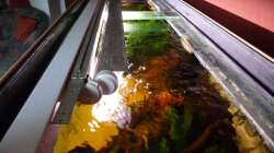 geöffnete Abdeckung mit Leuchtbalken