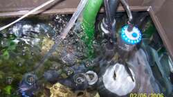 Technik im Aquarium Becken 1877